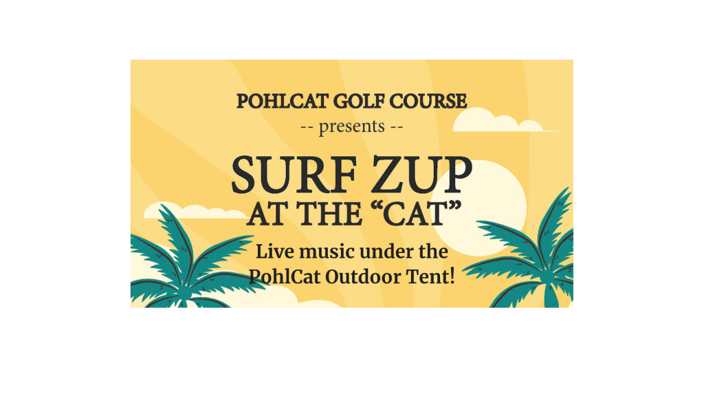 Pohlcat-Surf-Zup-Concert