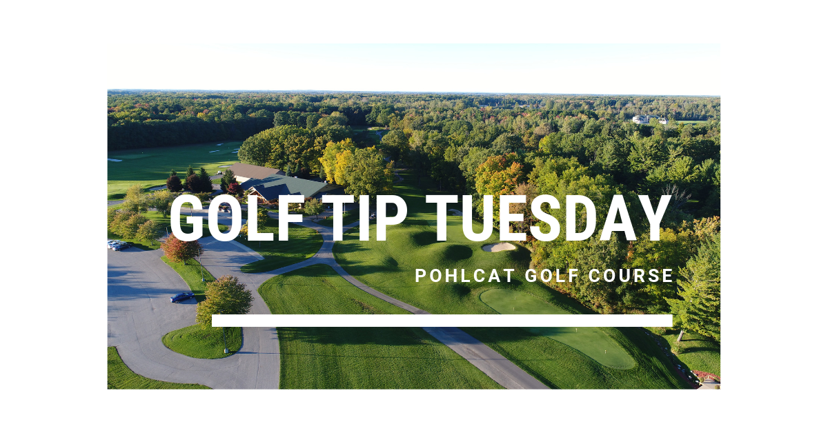 Pohlcat-Tip-Tues